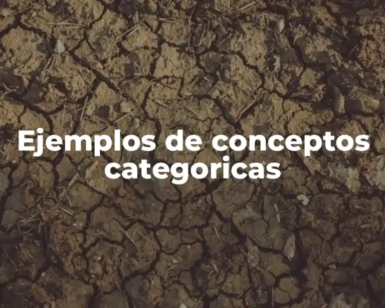 Ejemplos de conceptos categoricas