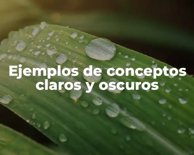 Ejemplos de conceptos claros y oscuros