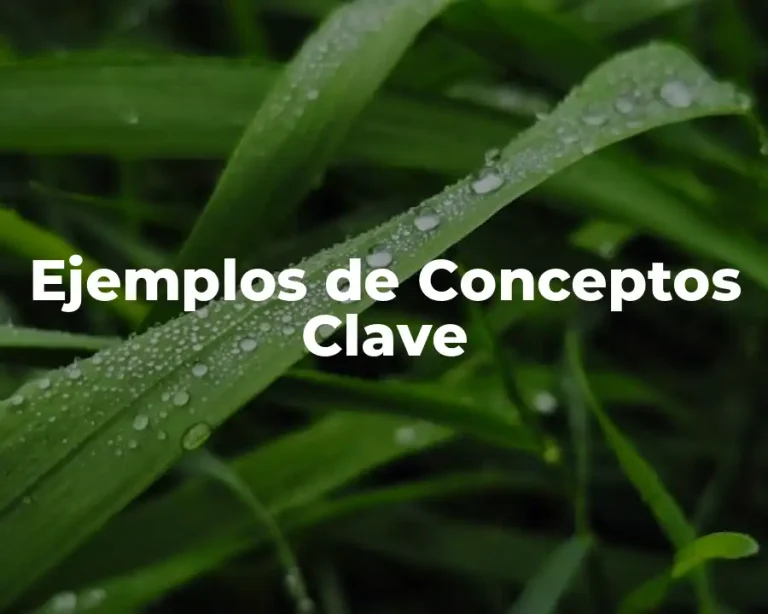 Ejemplos de Conceptos Clave
