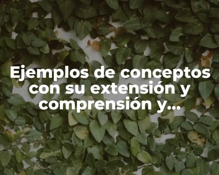 Ejemplos de conceptos con su extensión y comprensión y Significado