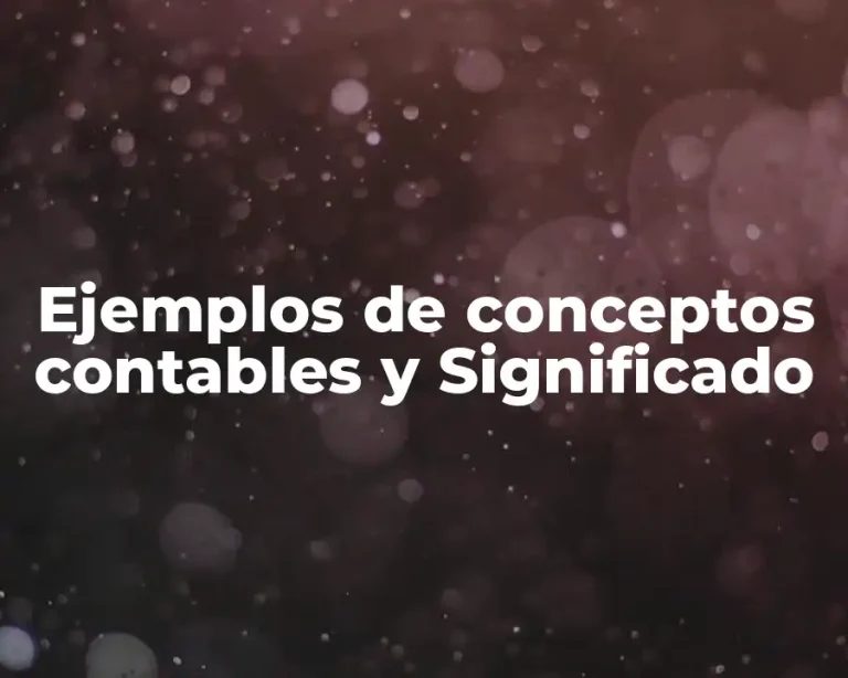 Ejemplos de conceptos contables y Significado