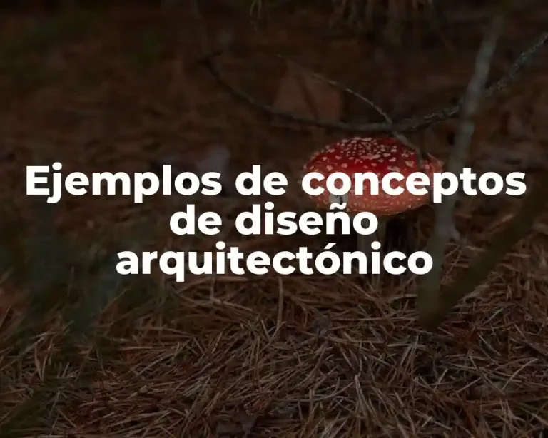 Ejemplos de conceptos de diseño arquitectónico