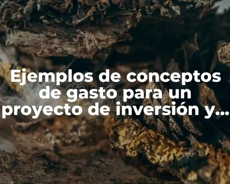 Ejemplos de conceptos de gasto para un proyecto de inversión y Significado