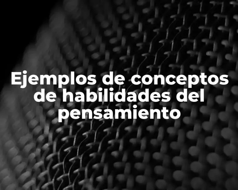 Ejemplos de conceptos de habilidades del pensamiento