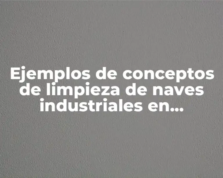 Ejemplos de conceptos de limpieza de naves industriales en operación