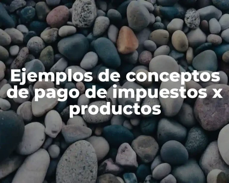Ejemplos de conceptos de pago de impuestos x productos