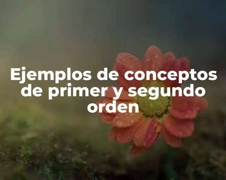 Ejemplos de conceptos de primer y segundo orden