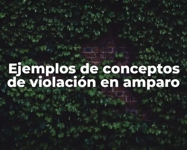 Ejemplos de conceptos de violación en amparo