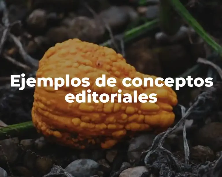 Ejemplos de conceptos editoriales