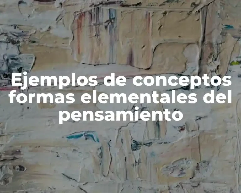 Ejemplos de conceptos formas elementales del pensamiento