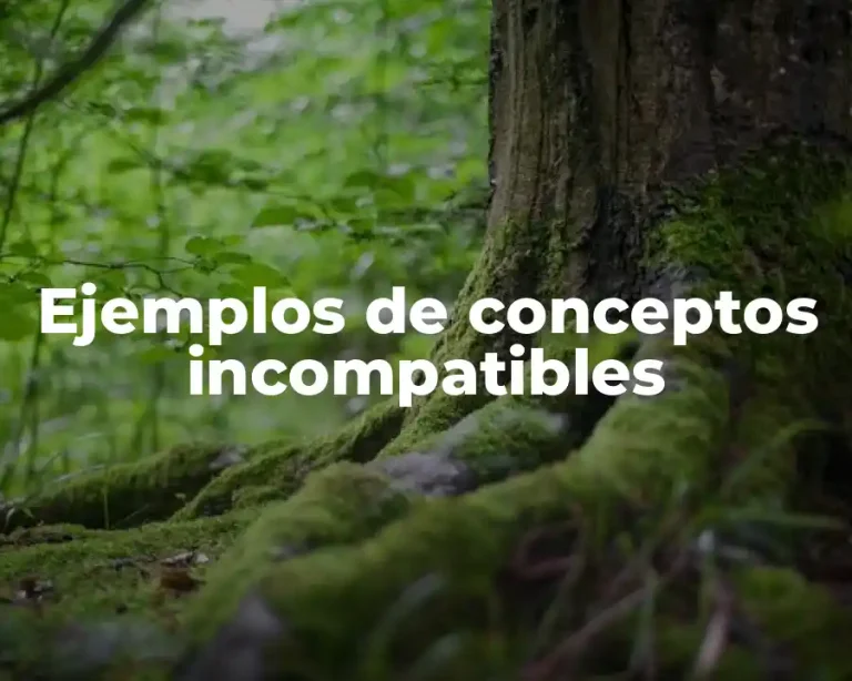 Ejemplos de conceptos incompatibles