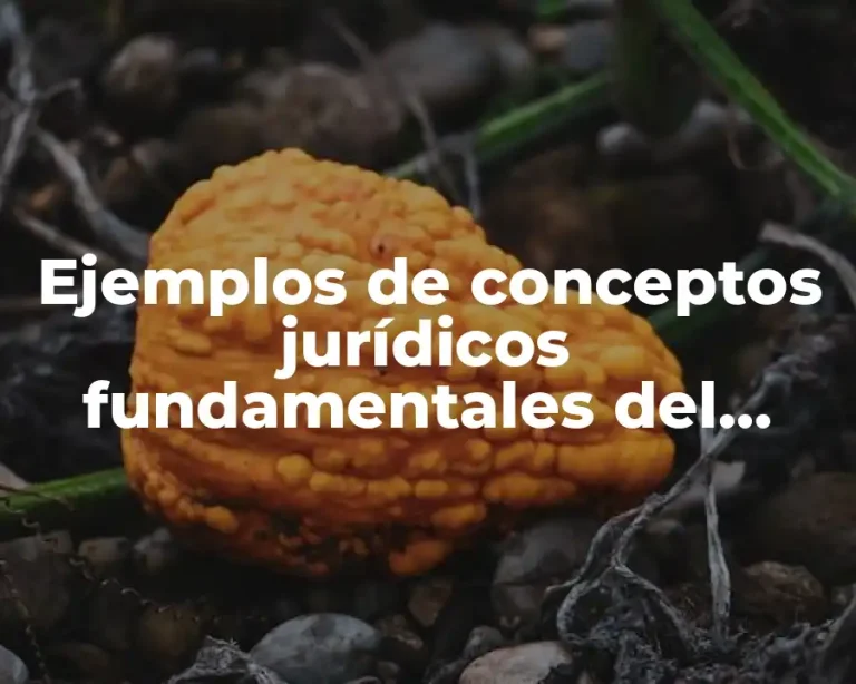 Ejemplos de conceptos jurídicos fundamentales del derecho civil