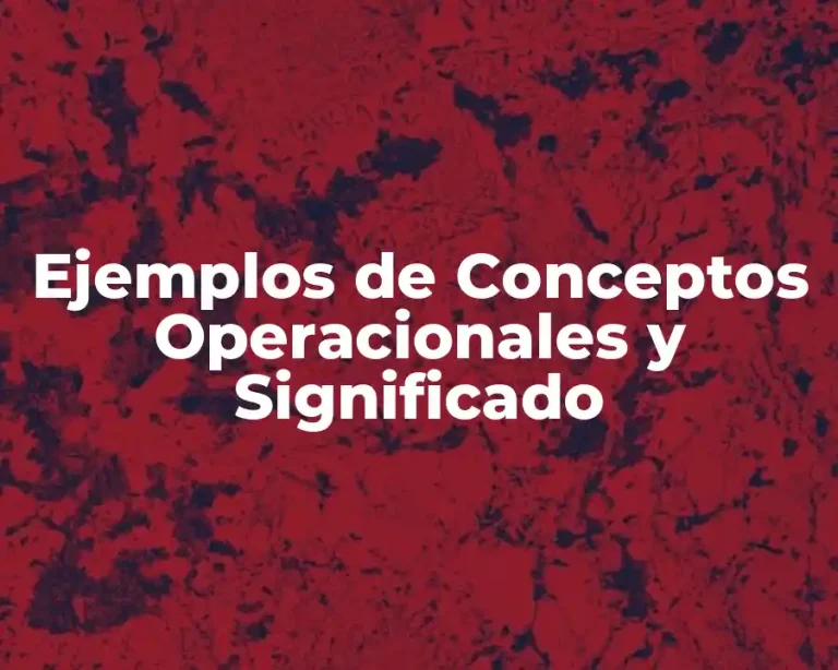Ejemplos de Conceptos Operacionales y Significado