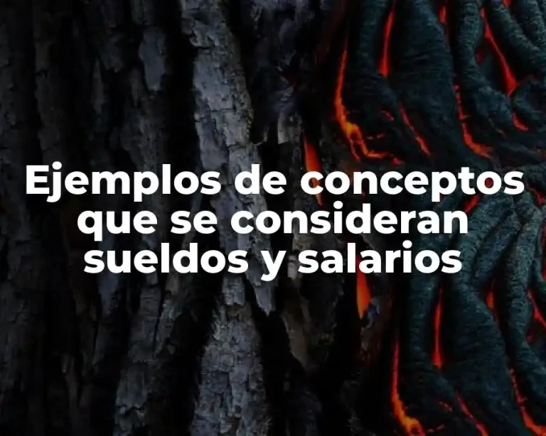 Ejemplos de conceptos que se consideran sueldos y salarios