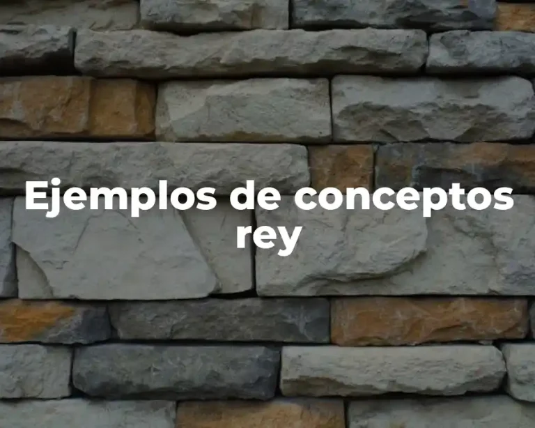 Ejemplos de conceptos rey