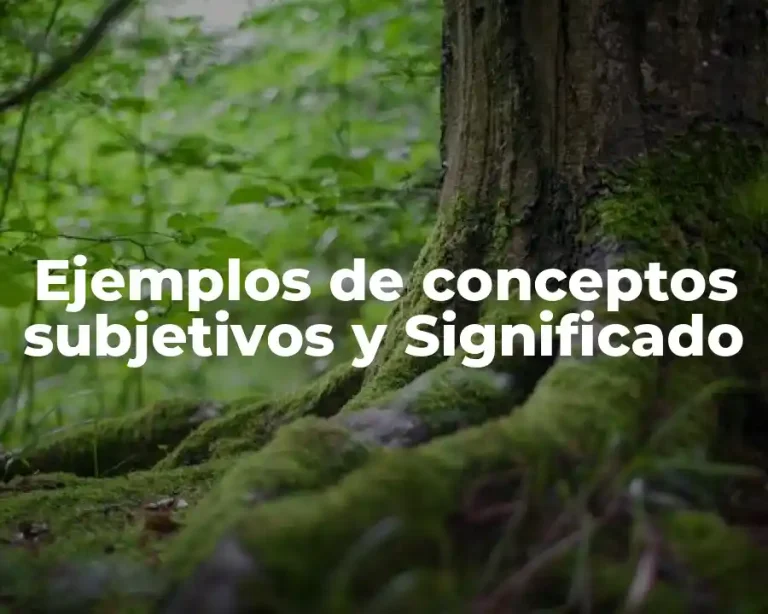 Ejemplos de conceptos subjetivos y Significado