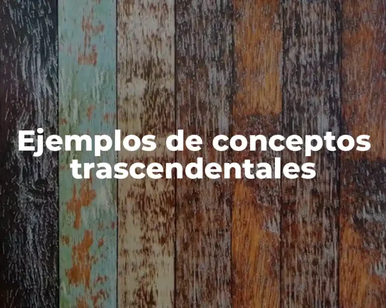 Ejemplos de conceptos trascendentales