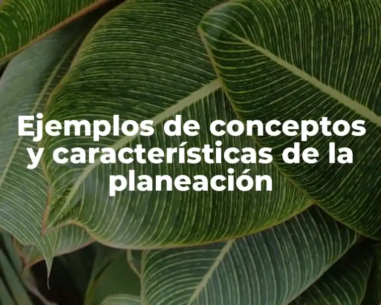 Ejemplos de conceptos y características de la planeación