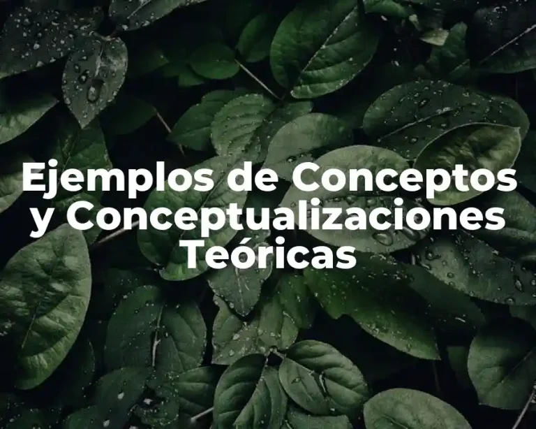 Ejemplos de Conceptos y Conceptualizaciones Teóricas