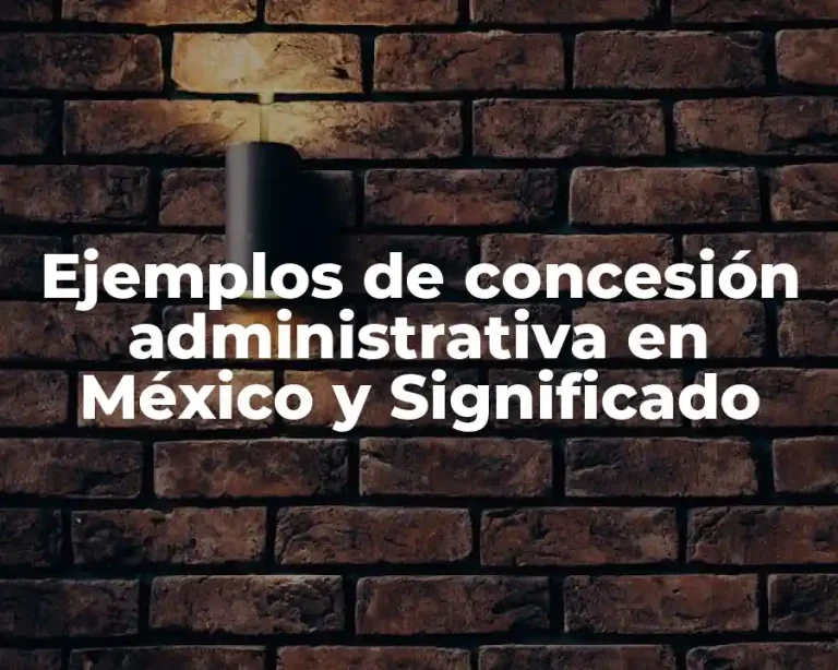 Ejemplos de concesión administrativa en México y Significado