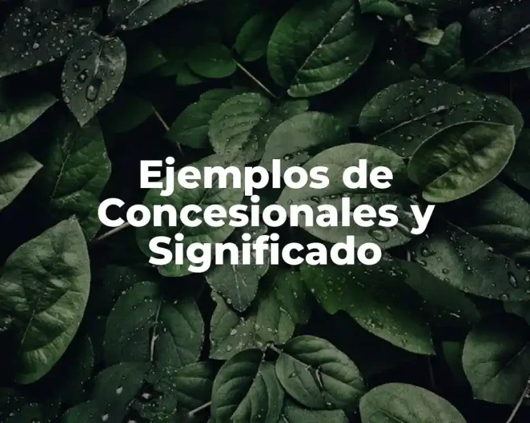Ejemplos de Concesionales y Significado