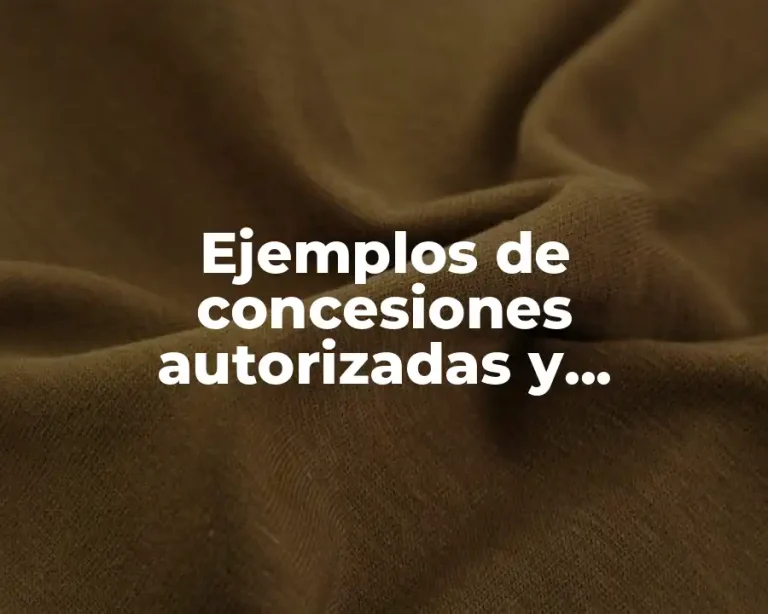 Ejemplos de concesiones autorizadas y Significado