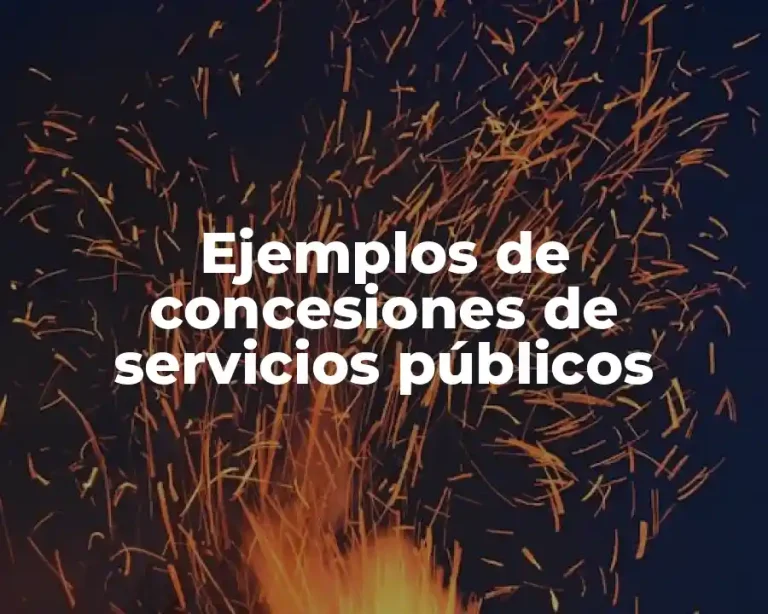 Ejemplos de concesiones de servicios públicos