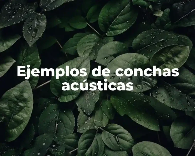 Ejemplos de conchas acústicas