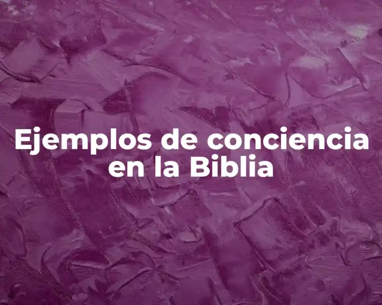 Ejemplos de conciencia en la Biblia