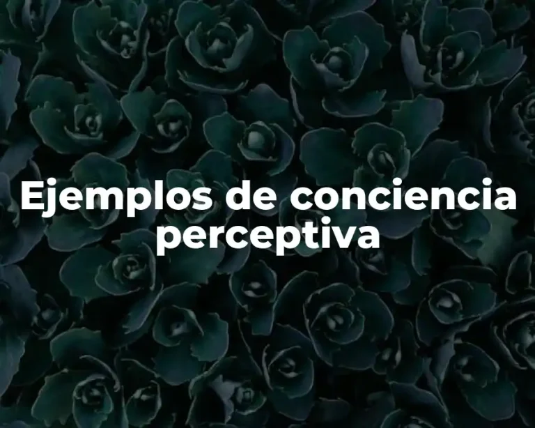 Ejemplos de conciencia perceptiva