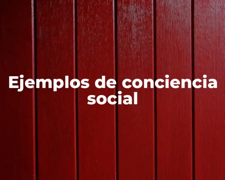 Ejemplos de conciencia social