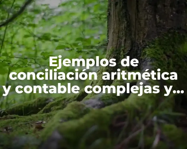 Ejemplos de conciliación aritmética y contable complejas y Significado