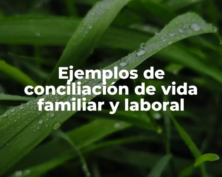 Ejemplos de conciliación de vida familiar y laboral