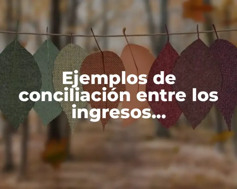 Ejemplos de conciliación entre los ingresos presupuestarios y contables