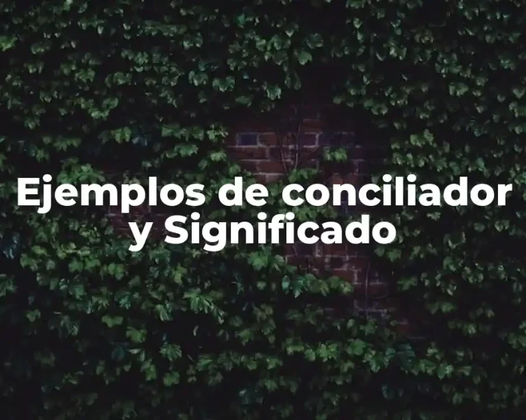 Ejemplos de conciliador y Significado