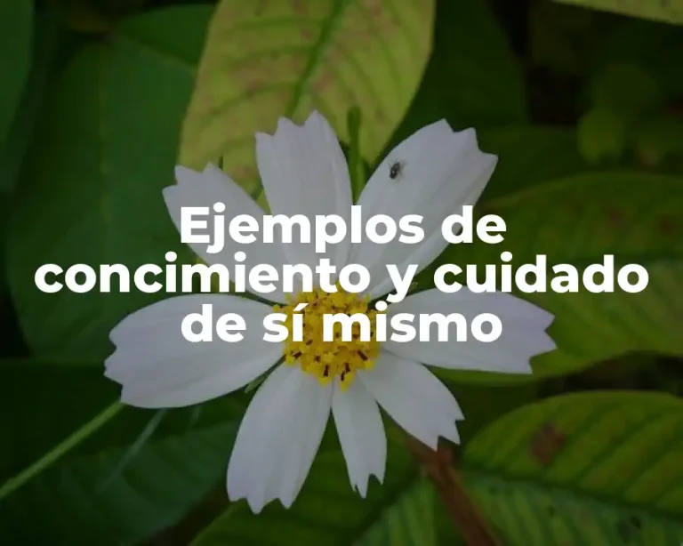 Ejemplos de concimiento y cuidado de sí mismo