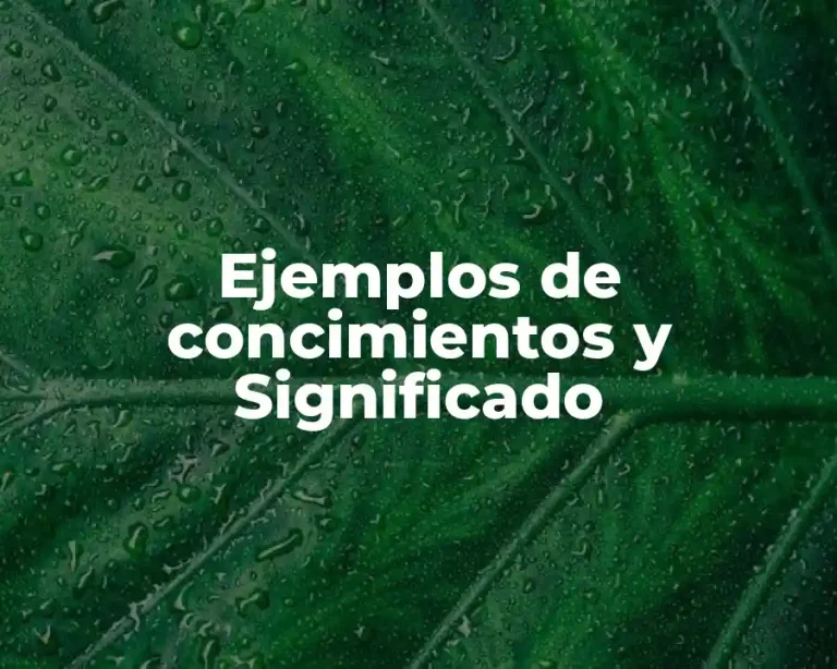 Ejemplos de concimientos y Significado