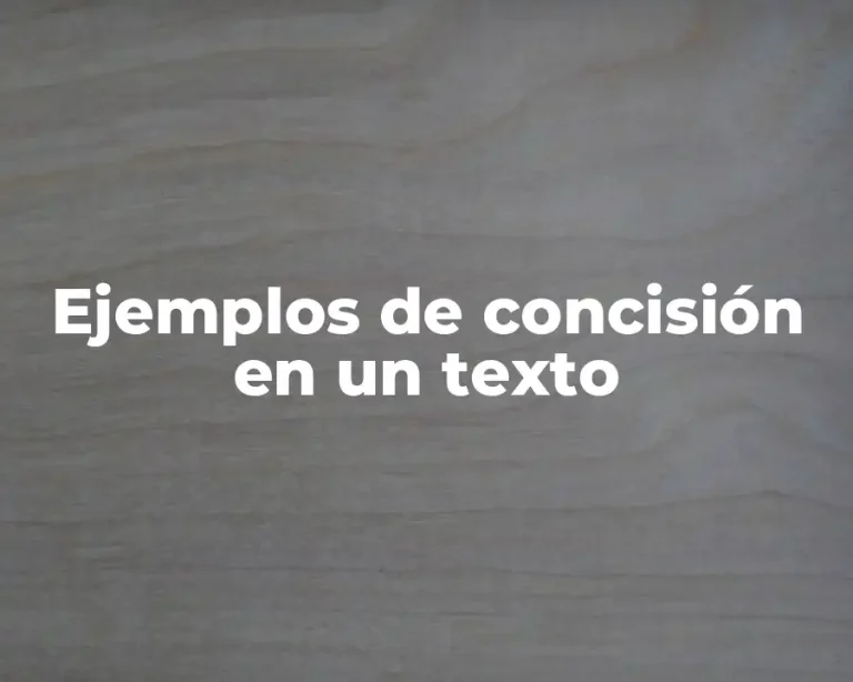 Ejemplos de concisión en un texto