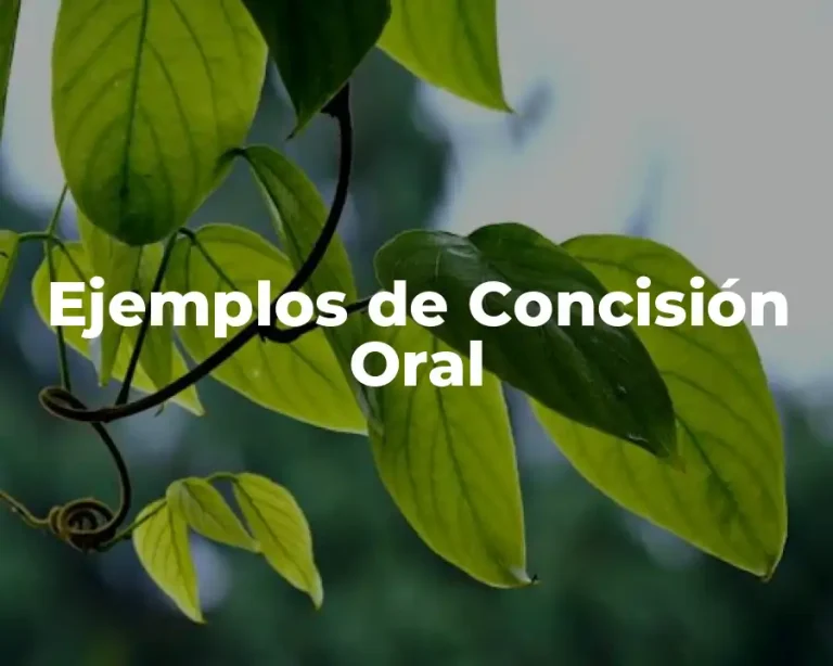 Ejemplos de Concisión Oral