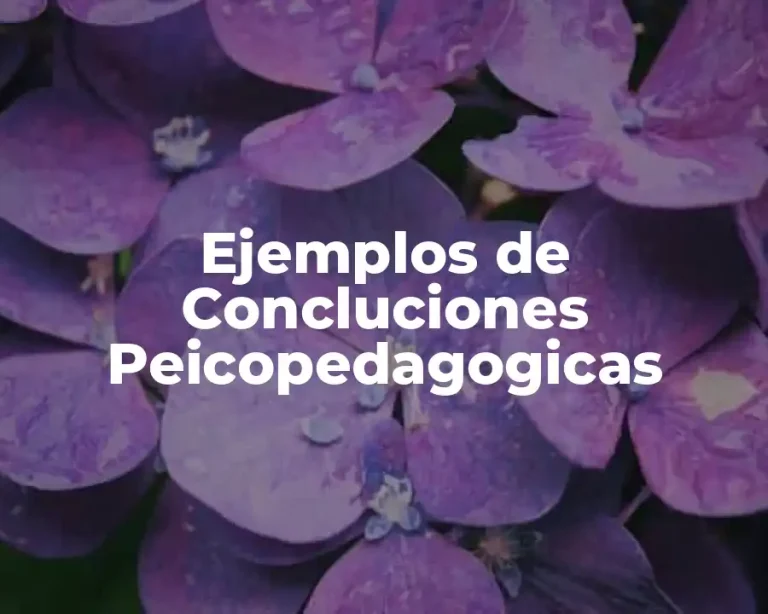 Ejemplos de Concluciones Peicopedagogicas