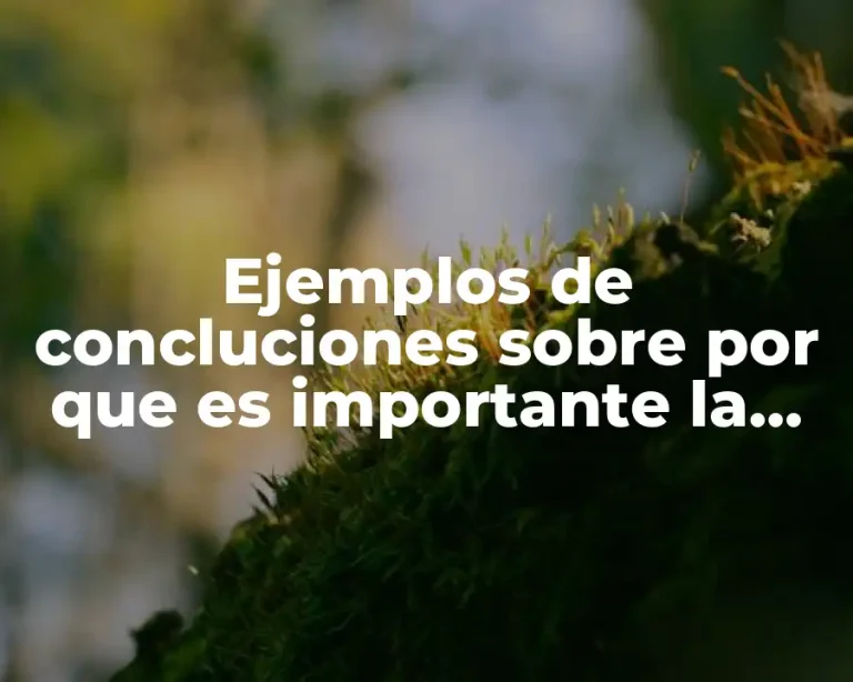 Ejemplos de concluciones sobre por que es importante la sexualidad
