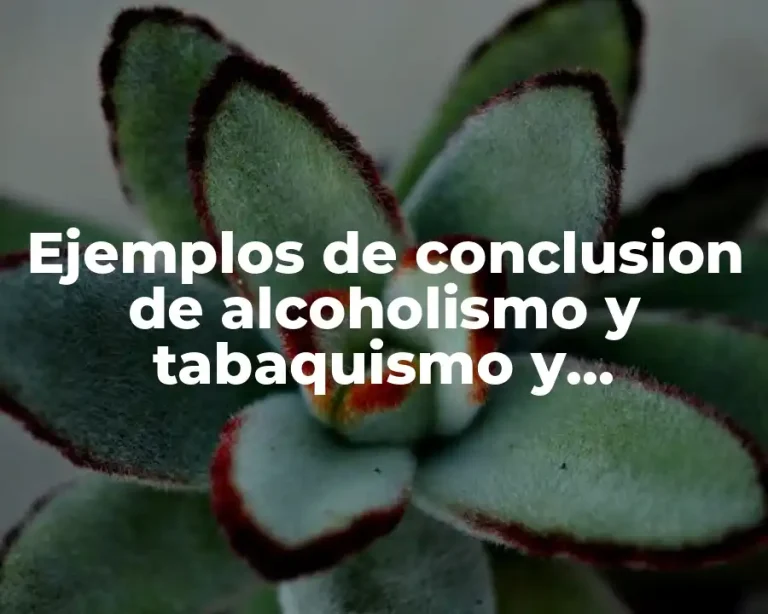 Ejemplos de conclusion de alcoholismo y tabaquismo y Significado