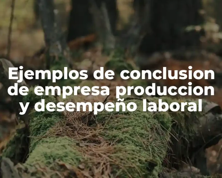 Ejemplos de conclusion de empresa produccion y desempeño laboral