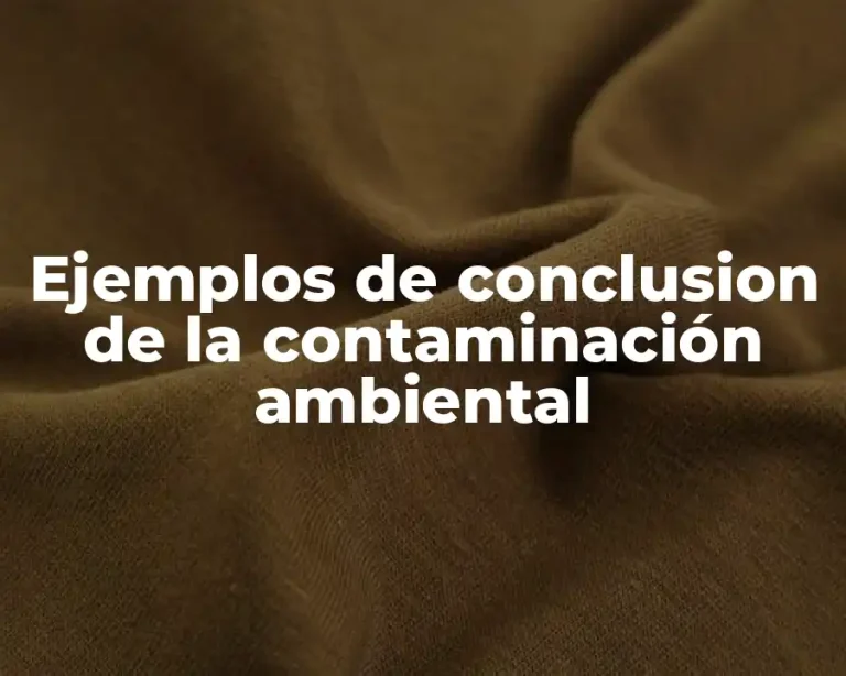 Ejemplos de conclusion de la contaminación ambiental