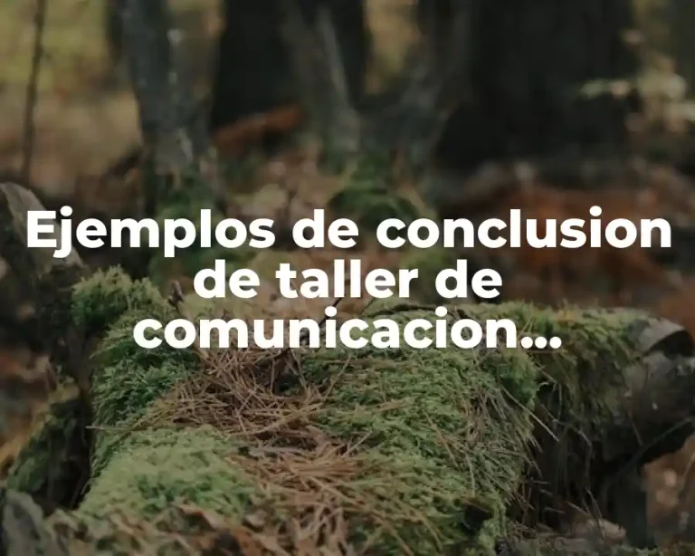 Ejemplos de conclusion de taller de comunicacion universidad
