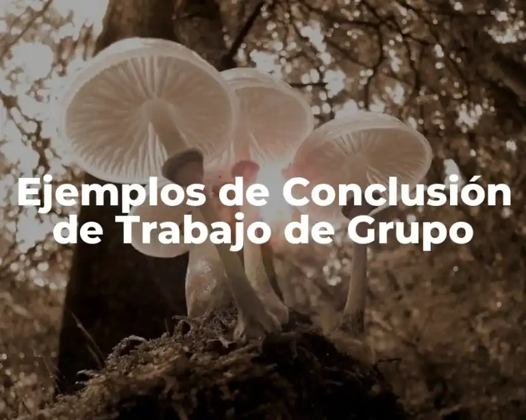 Ejemplos de Conclusión de Trabajo de Grupo