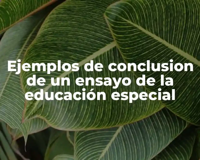 Ejemplos de conclusion de un ensayo de la educación especial