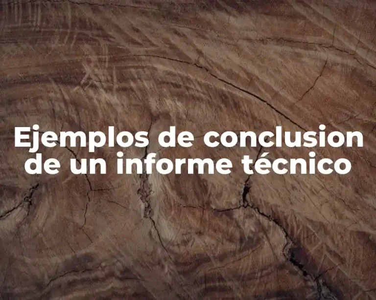 Ejemplos de conclusion de un informe técnico