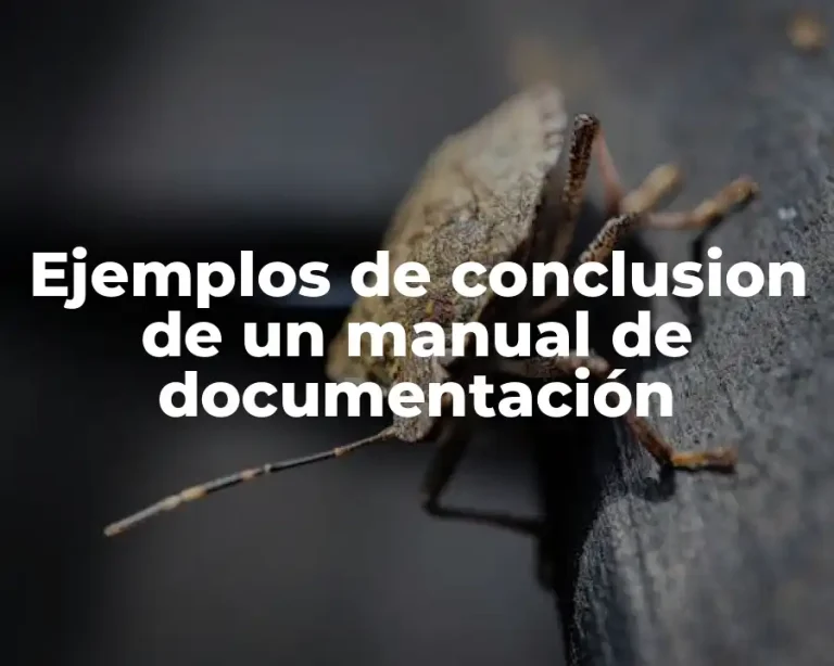 Ejemplos de conclusion de un manual de documentación