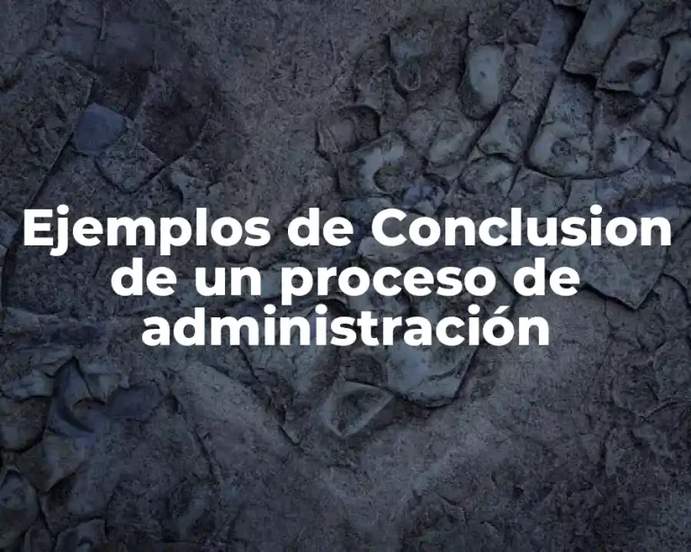 Ejemplos de Conclusion de un proceso de administración